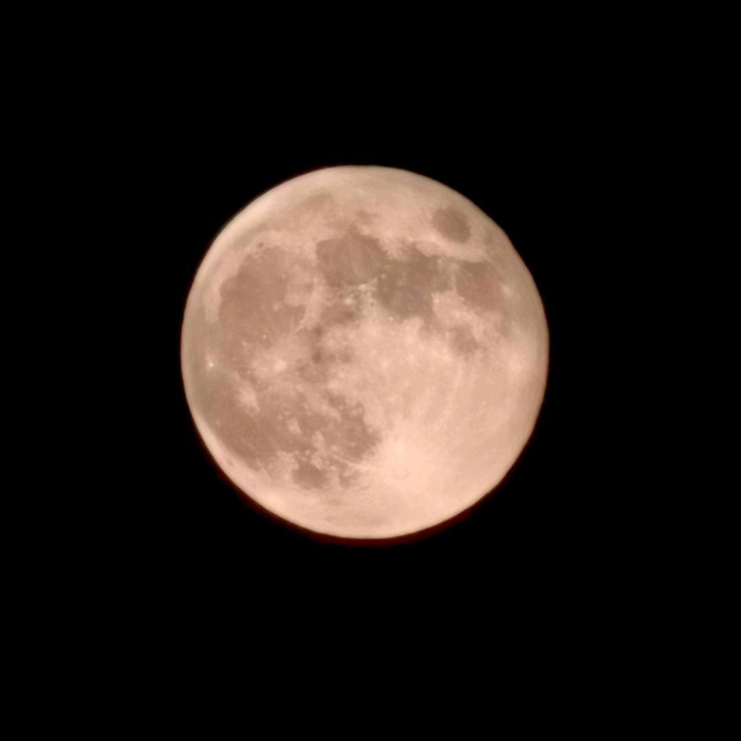 吃不胖的小妖精🍓