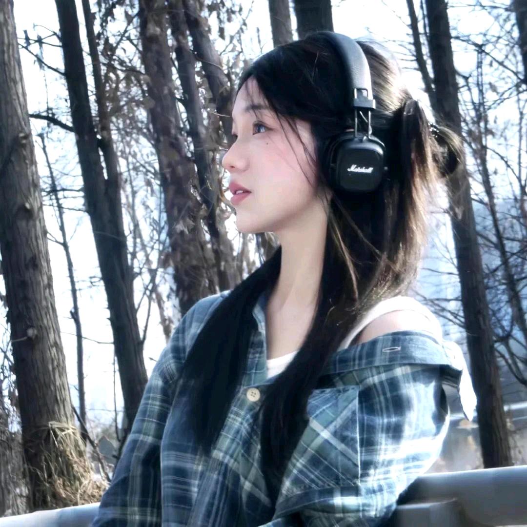 芝盎电子