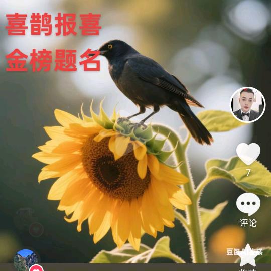 居家宝妈