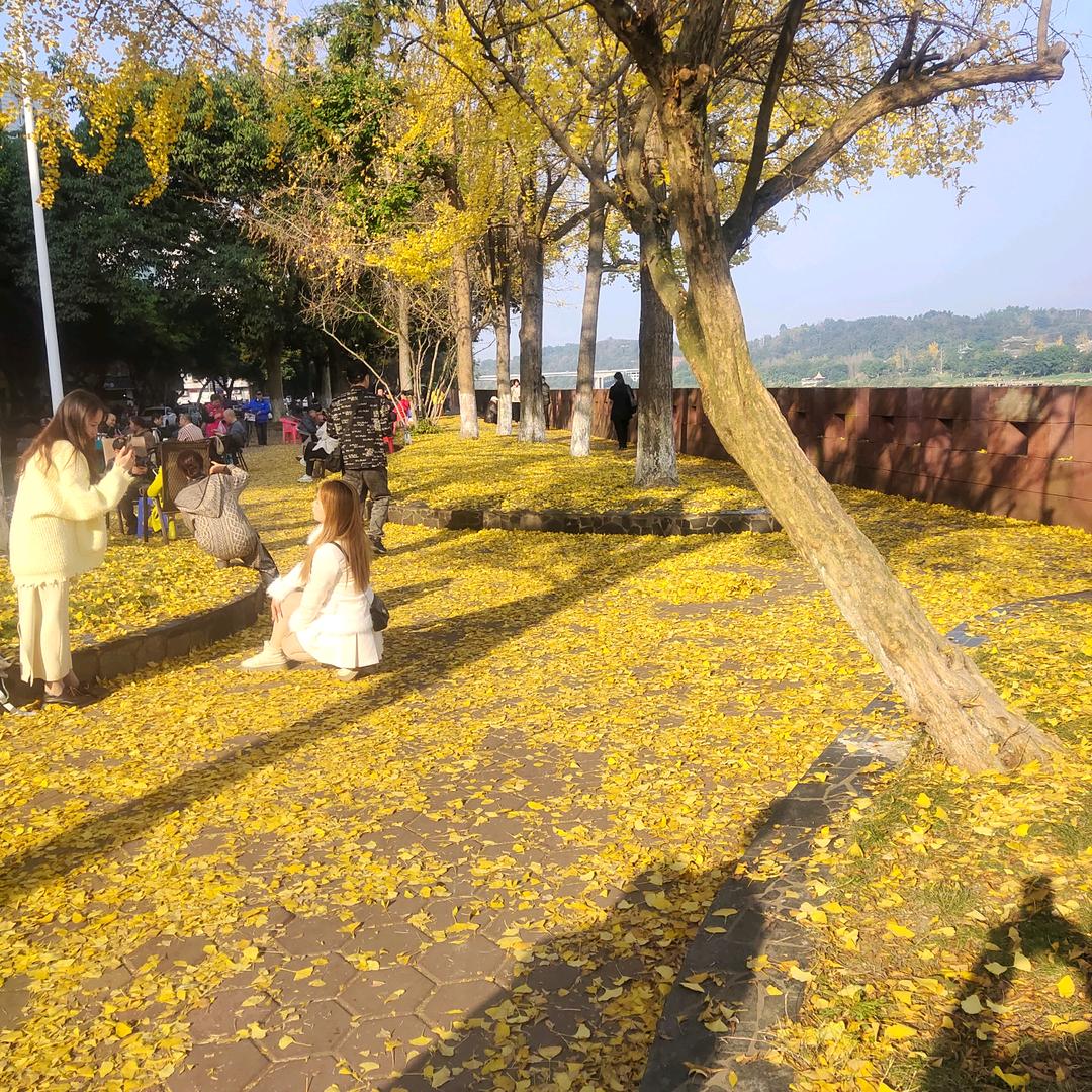 张元成