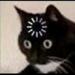 林俊强