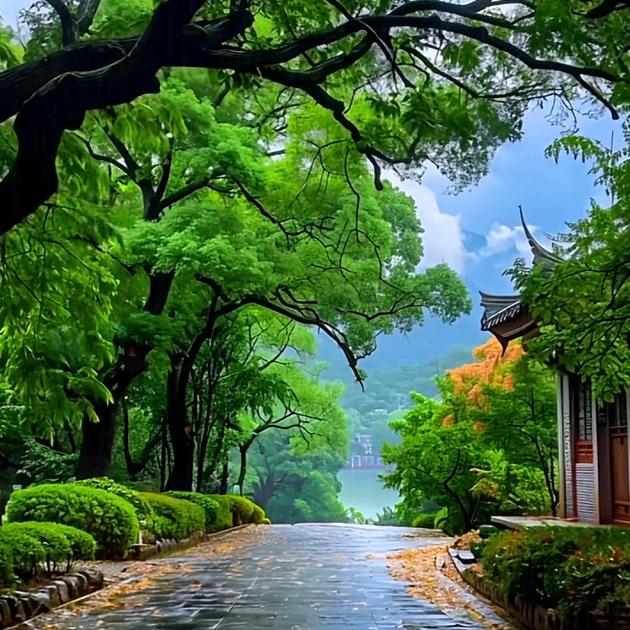 带着老爸和儿子去旅游
