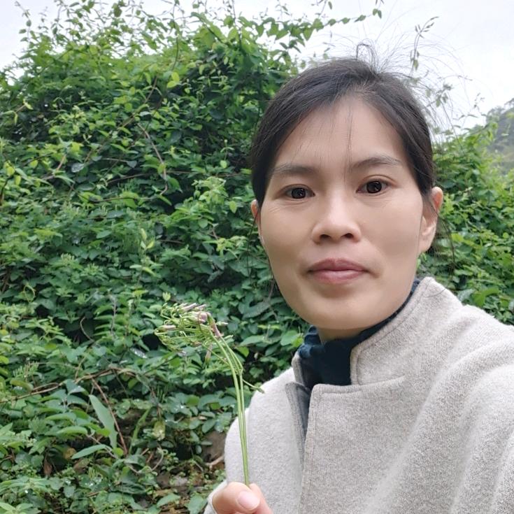 广西妙妙