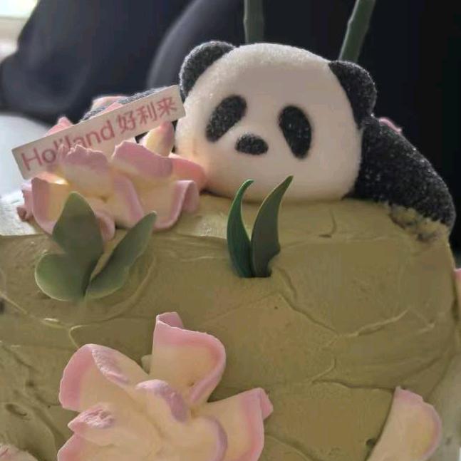 ☘️我的未来不是梦🌹🌹🌹