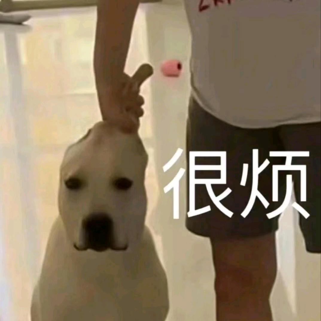 嘻嘻哈哈