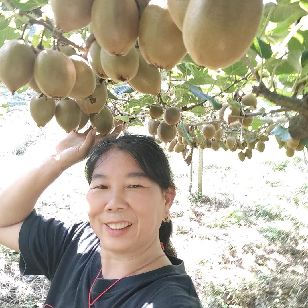 翠玉，猕猴桃