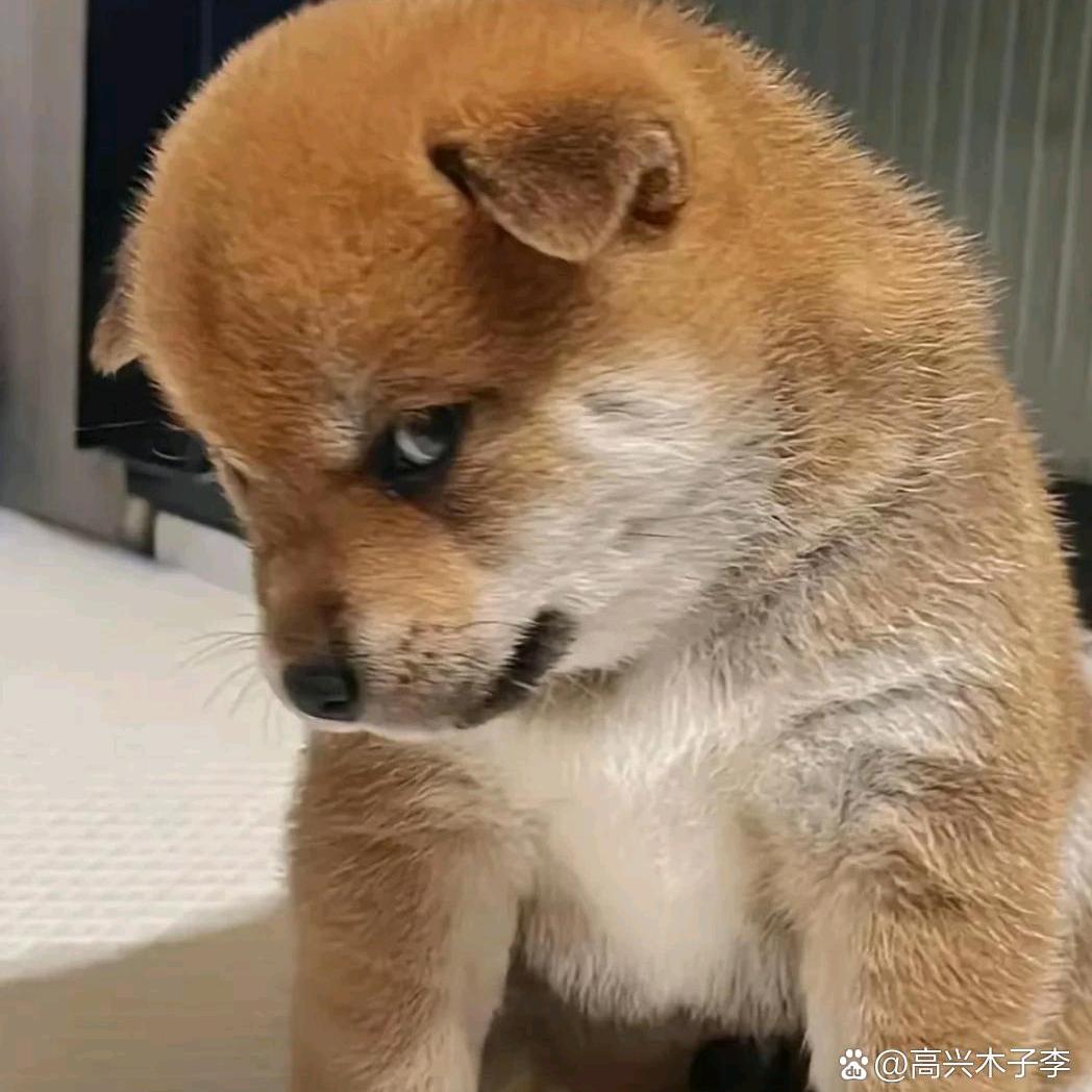 安弟妈妈