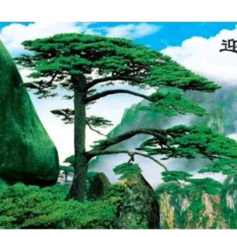 智者赢天下