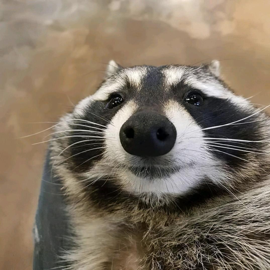 蕉太狼