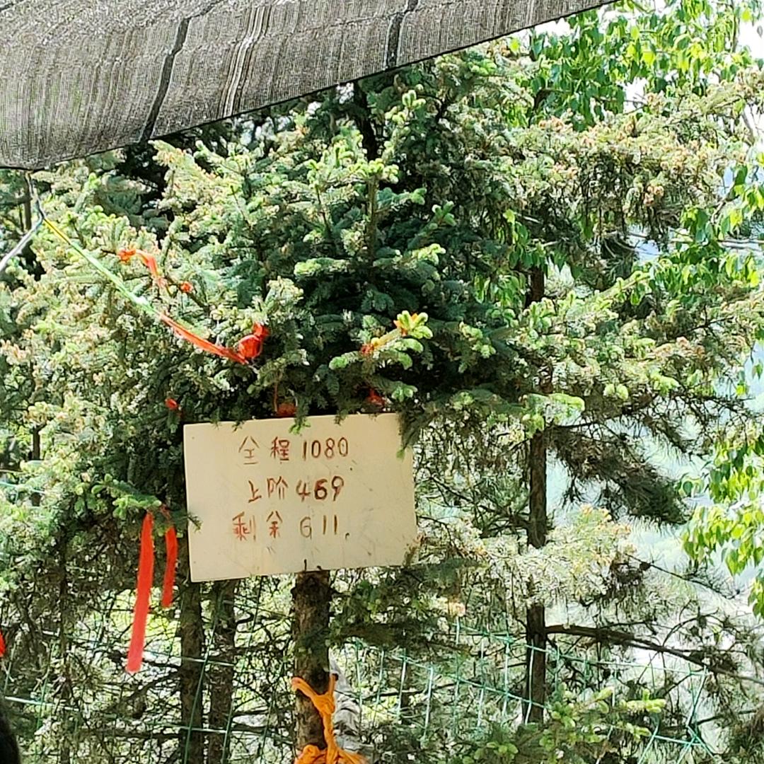 95899019500的头像