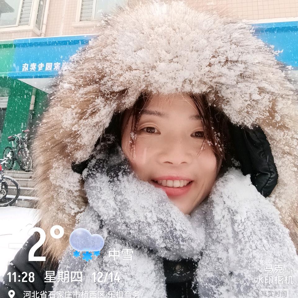 石家庄绿源电动车雷克斯君晓家园店