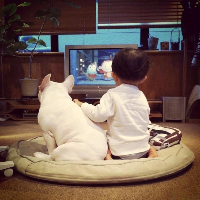 有生之年。