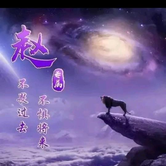 赵手握风云☆