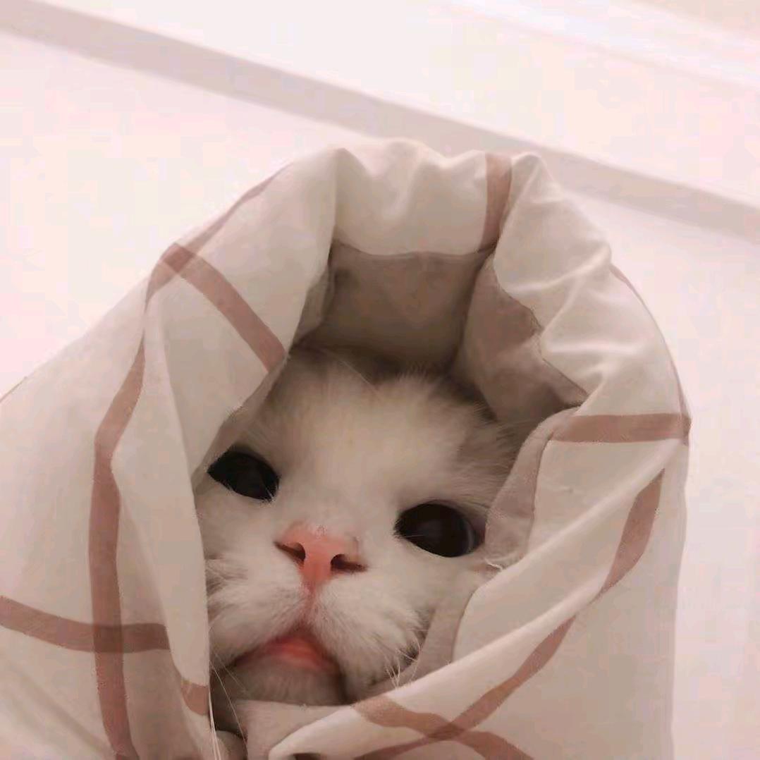 小小