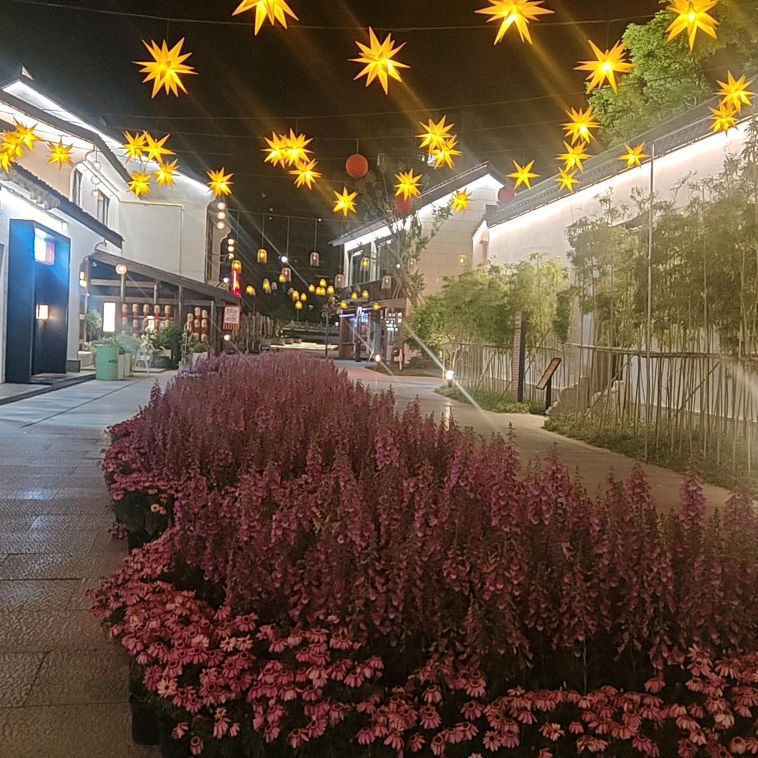 爱吃马铃薯🥔小陈🌻