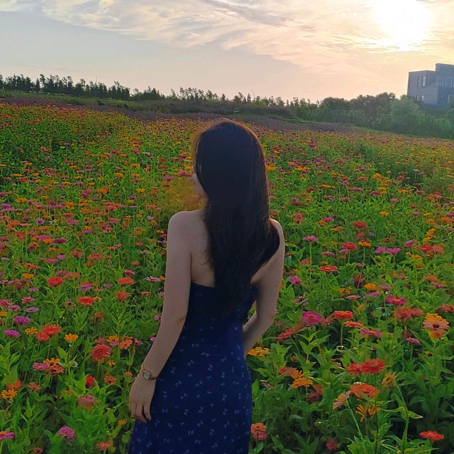 珍美丽