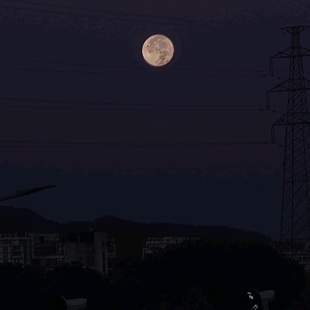 行行行行行