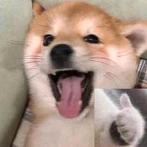 玫瑰维C糖头像
