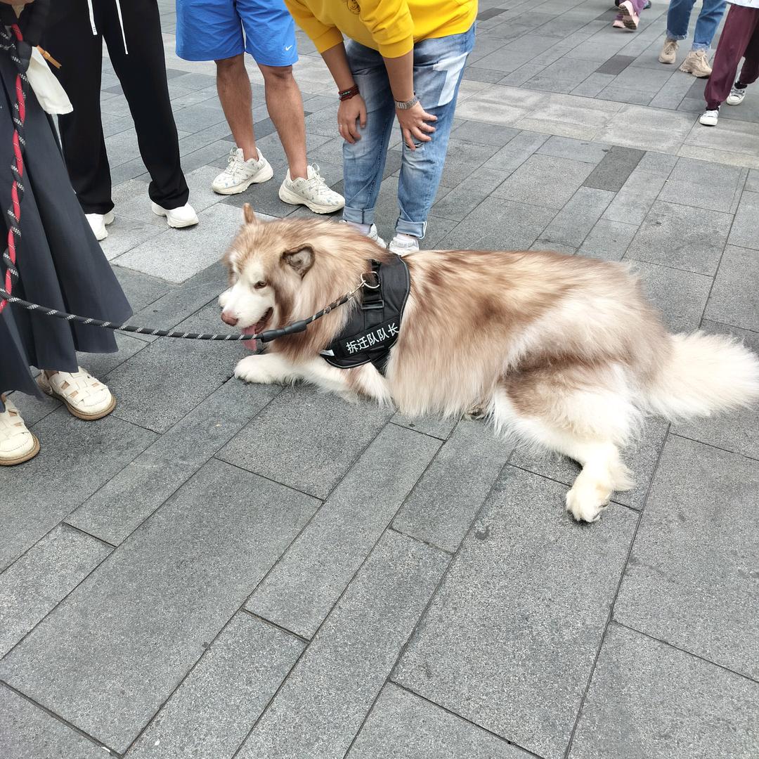 心灵手巧