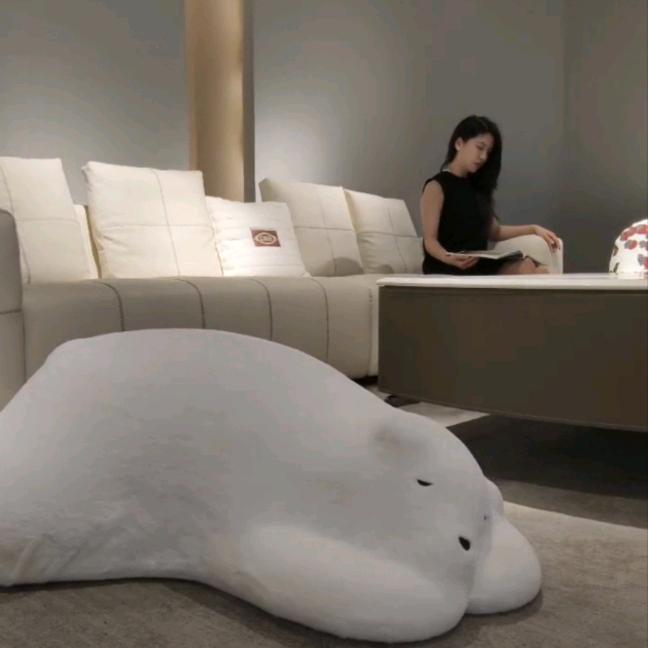 帝标家居资阳店