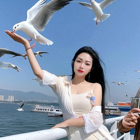 程歌优选