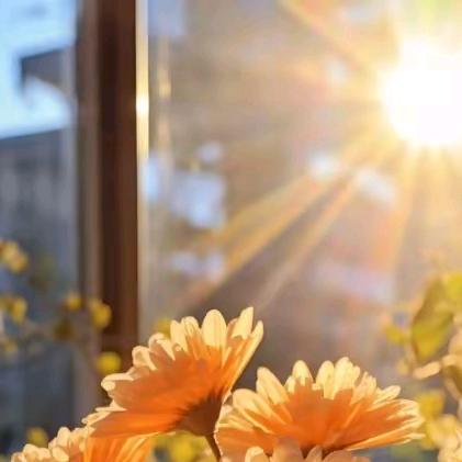 鲨鱼好物爱分享