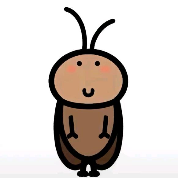 广东小蟑螂