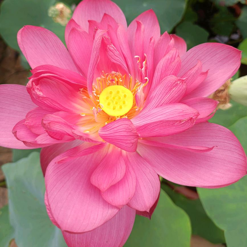 王宁宁创意精品店