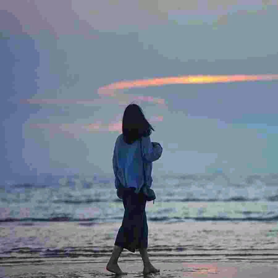 🍅🍅柿子🌻🌻