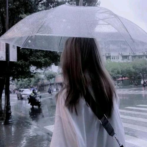 绵绵冰小羊