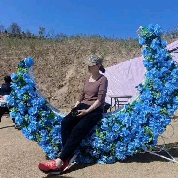 ✨四叶🍀草✨