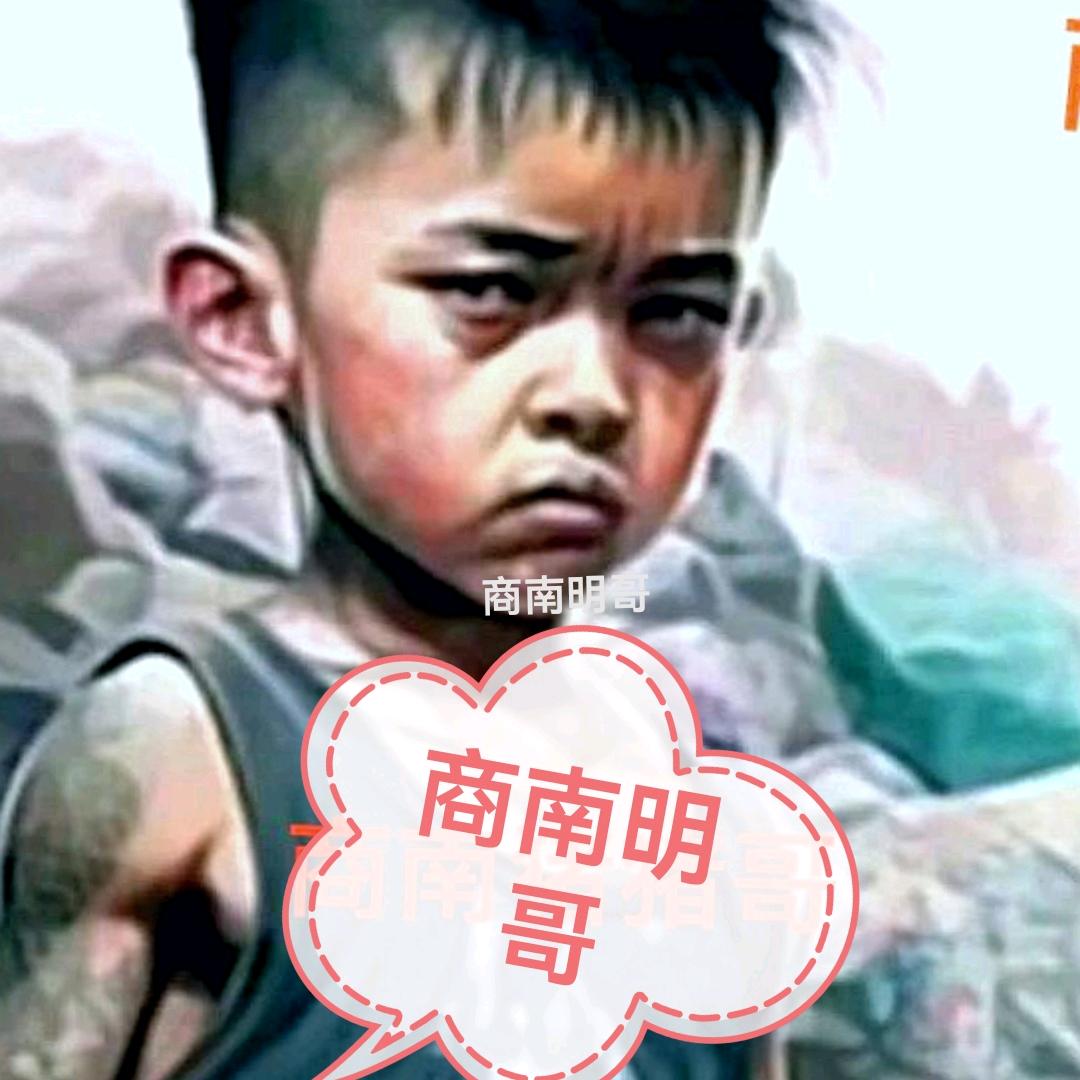 🌿商南猪猪哥🌿