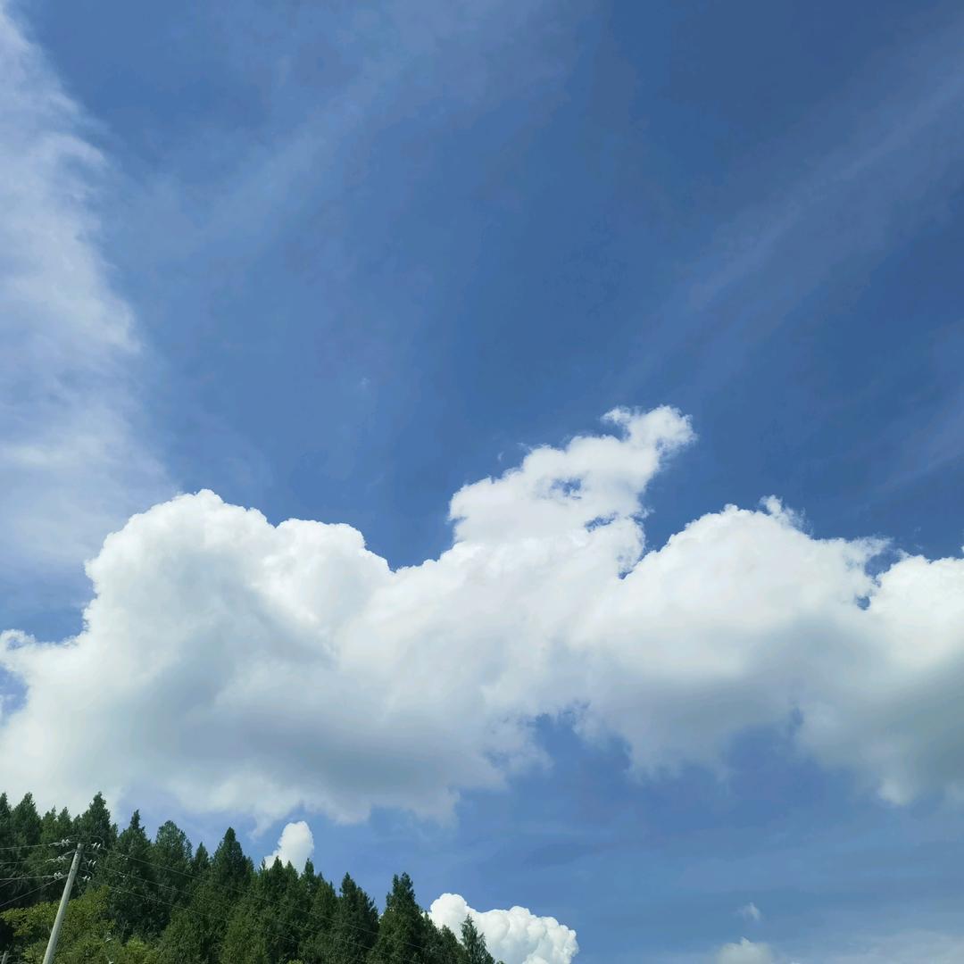 相约永恒