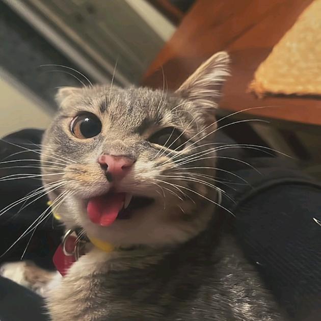 小宇