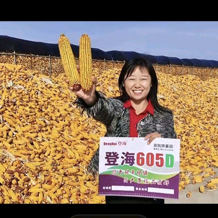 华儒种业粮多多