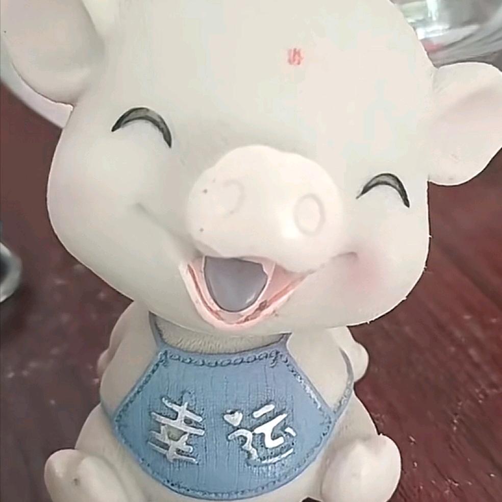 寒桥赵记饺子馆