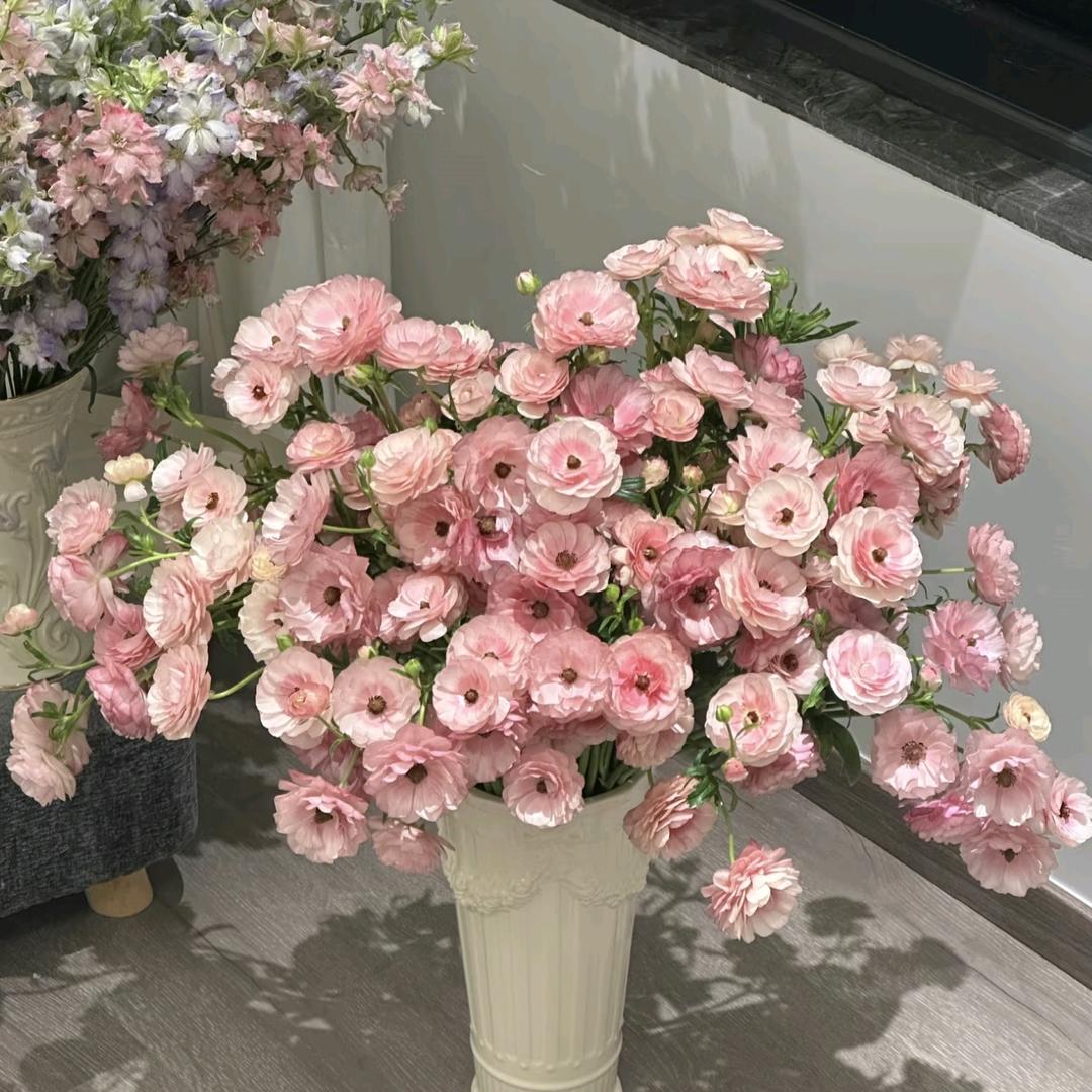见花如面Flower