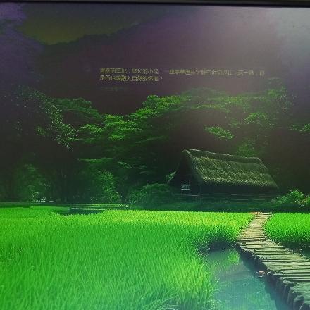 🌱幼苗头像