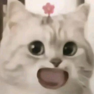 乘云