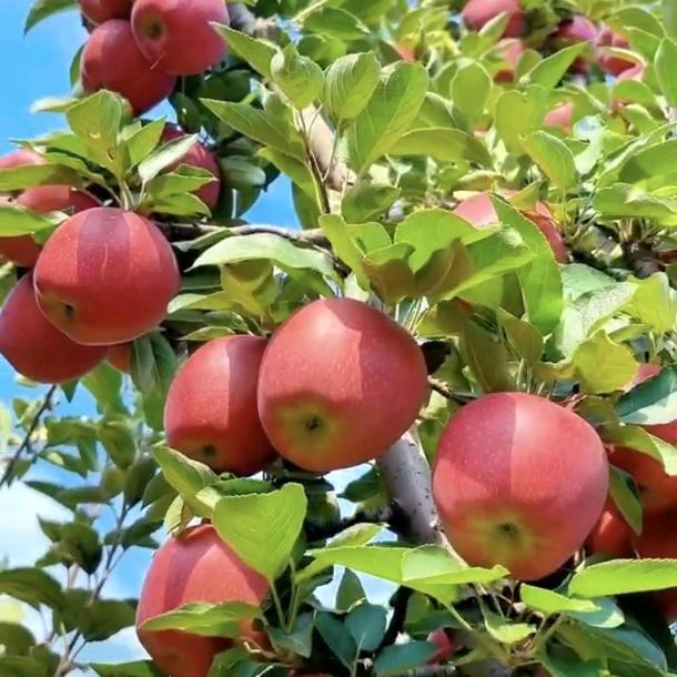 🌈🀄🀄🀄🀄🎉