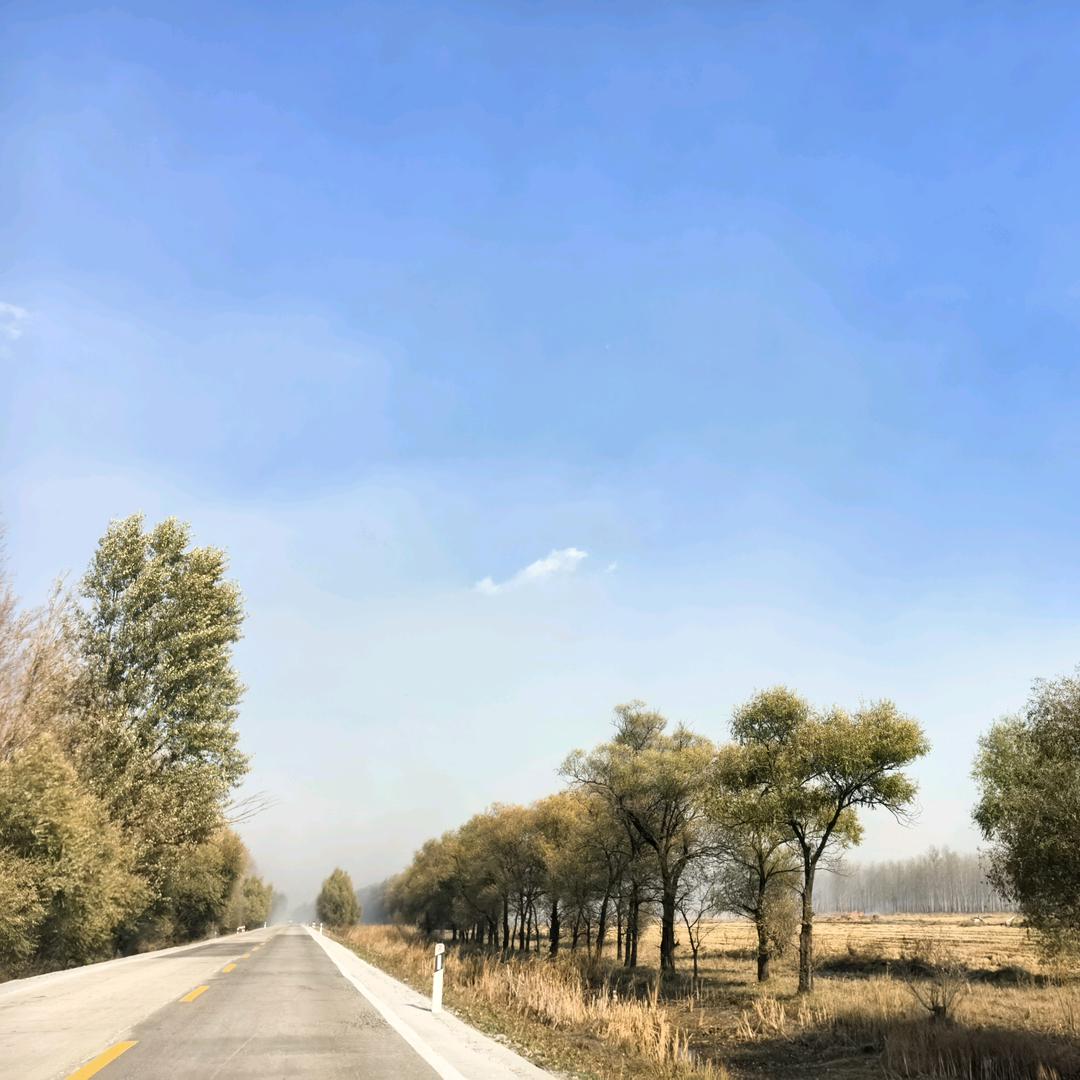 qiang