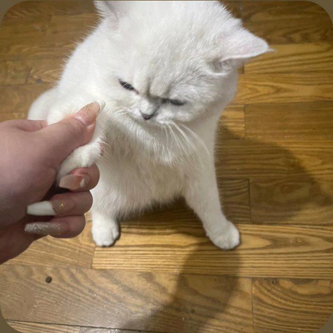 冬雨
