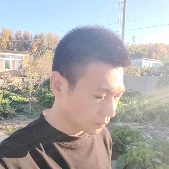 二哥（ 每晚7点10分）