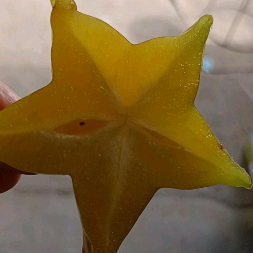 果然是你
