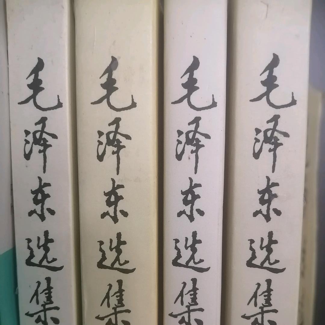 东莞小老板的杂货铺