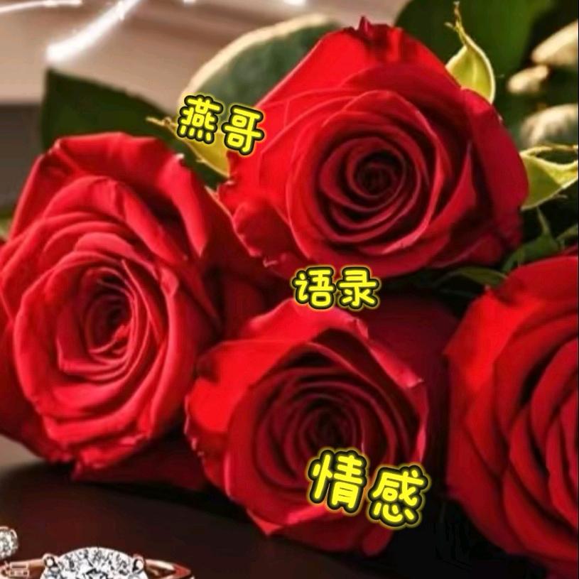 燕哥暖语（指导）