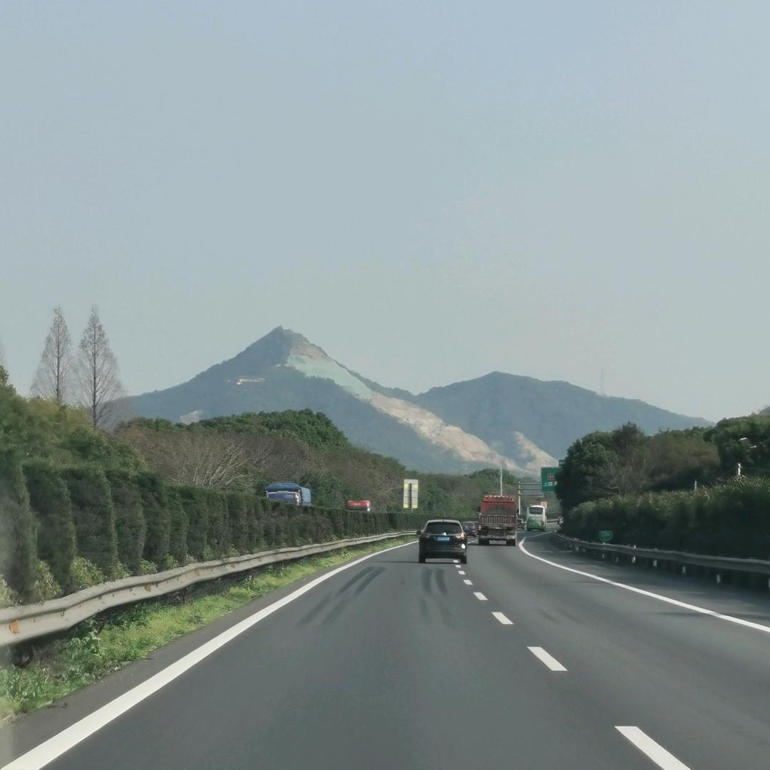 桕梢吟