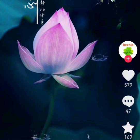 开心美一天