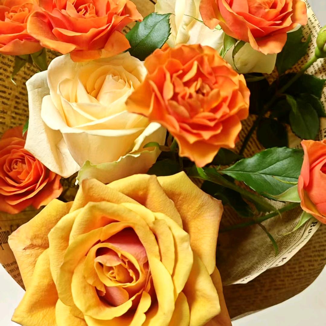 岁月静好（yra）