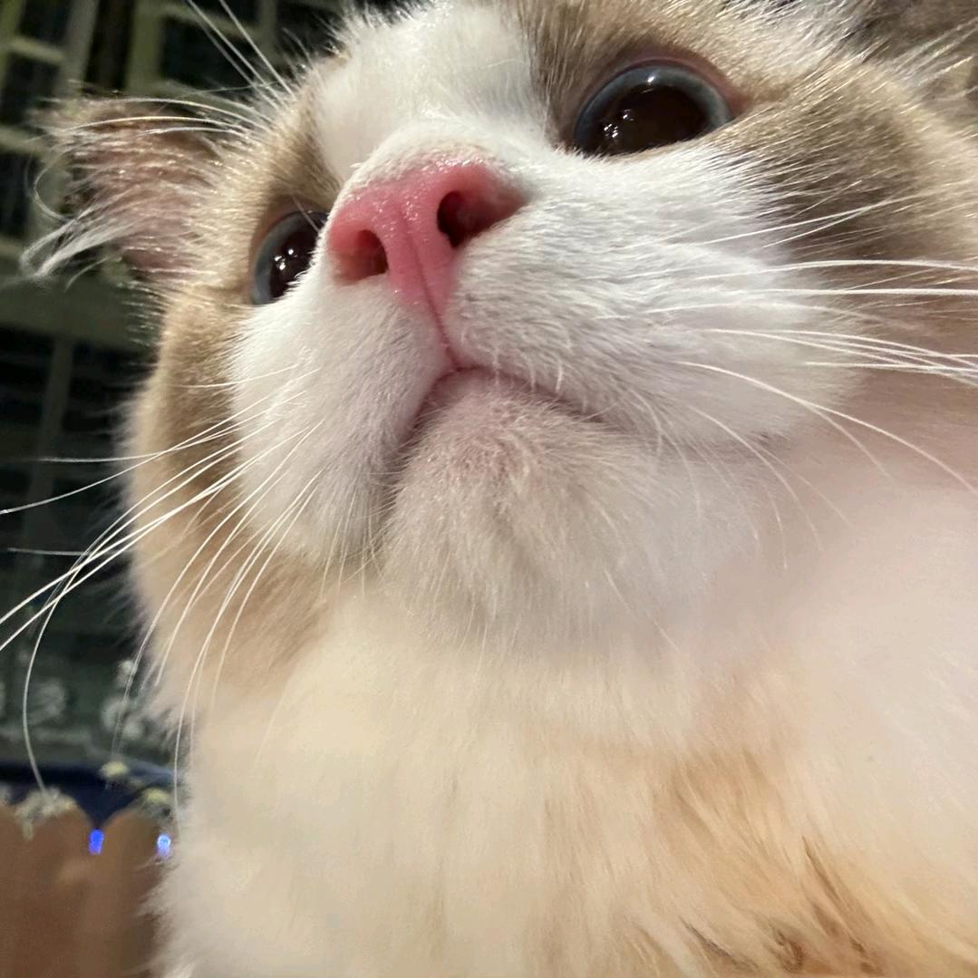 算了算了
